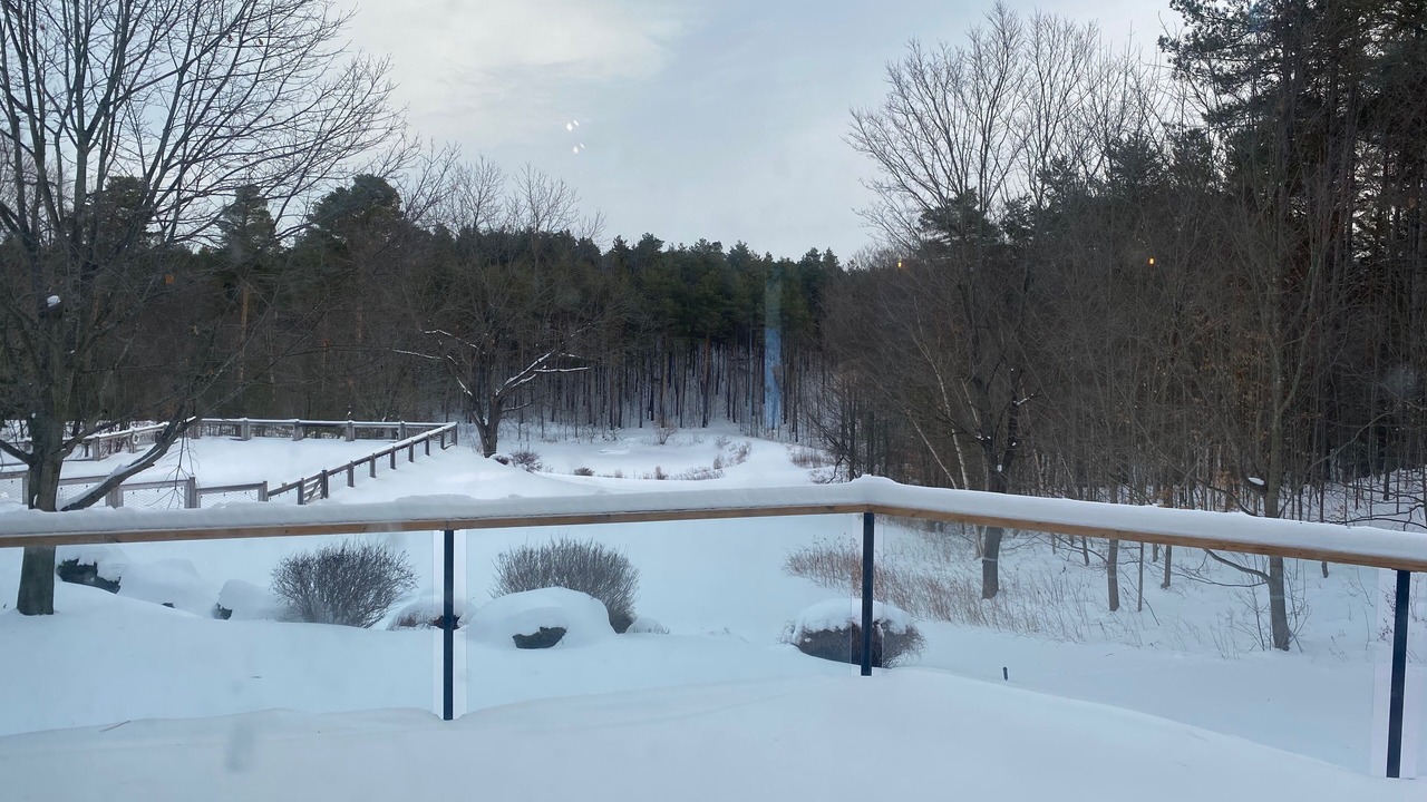 Photo of Outdoor in Mulmur