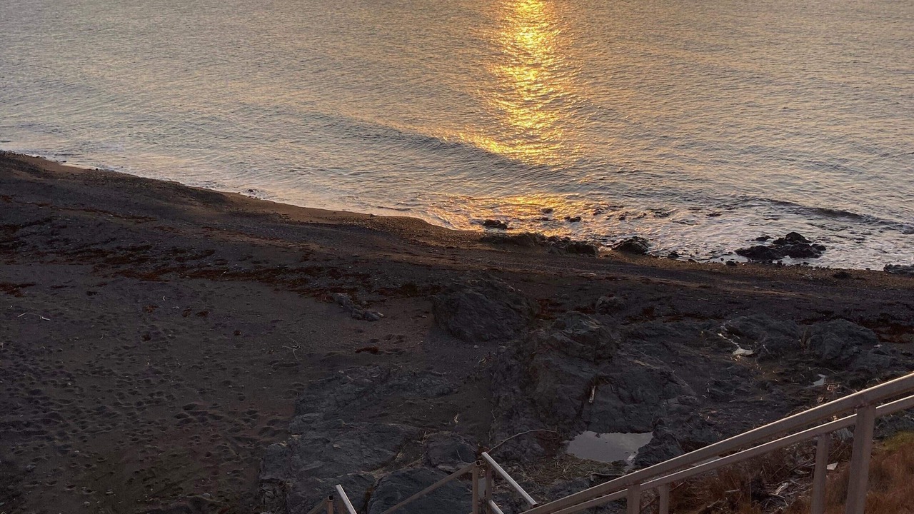 Photo of Others in Livingstone Cove