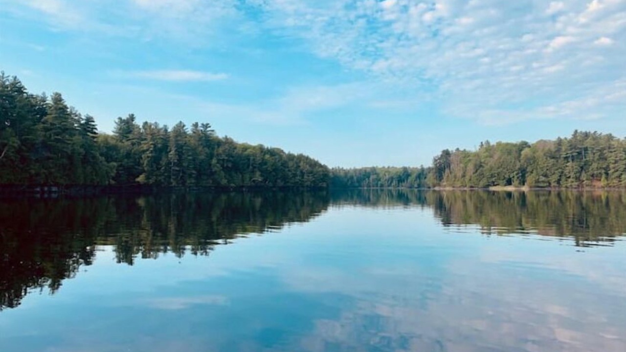 Photo of Outdoor in Tay Valley