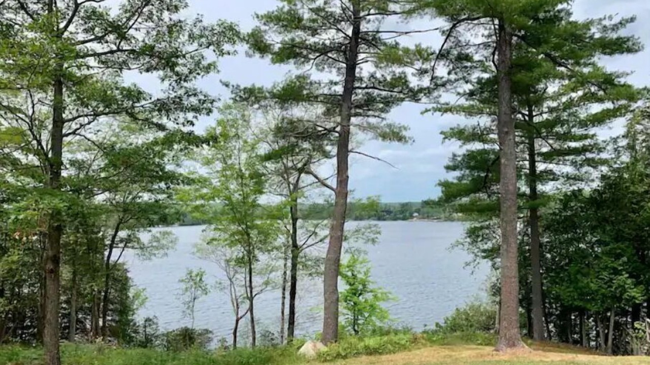 Photo of Outdoor in Tay Valley