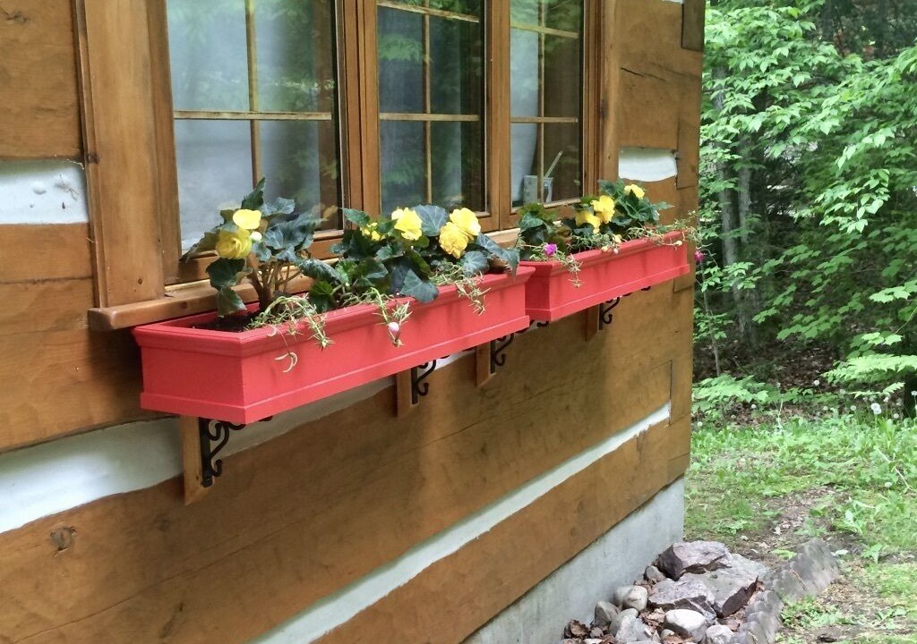 Photo of Outdoor in Algonquin Highlands