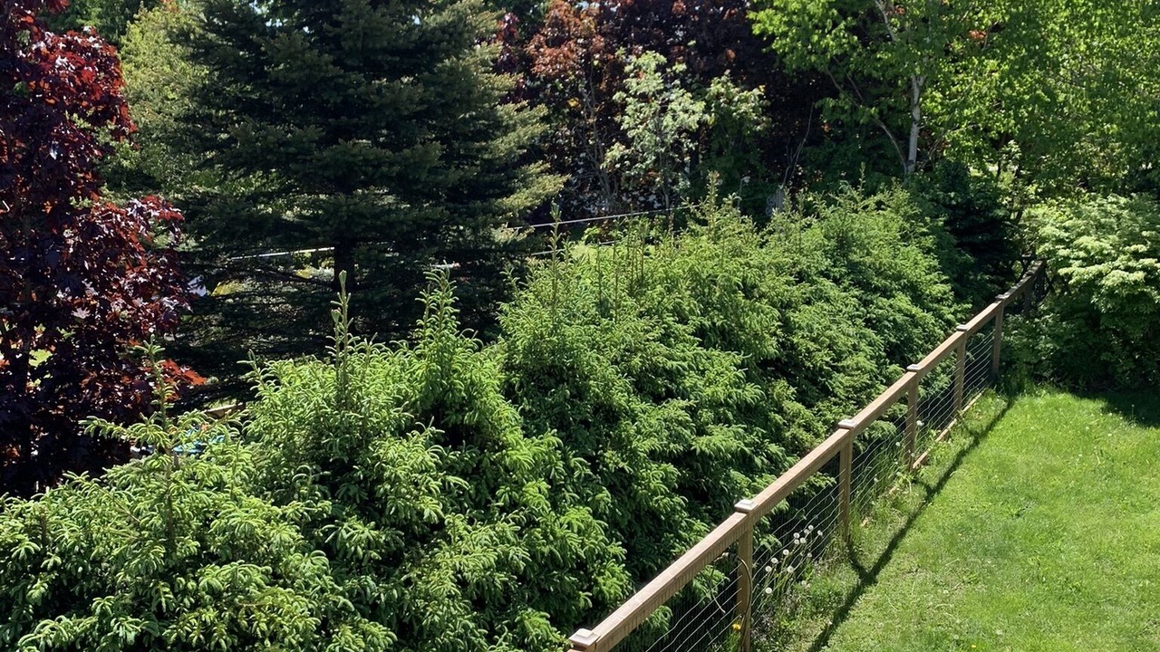 Photo of Outdoor in North River