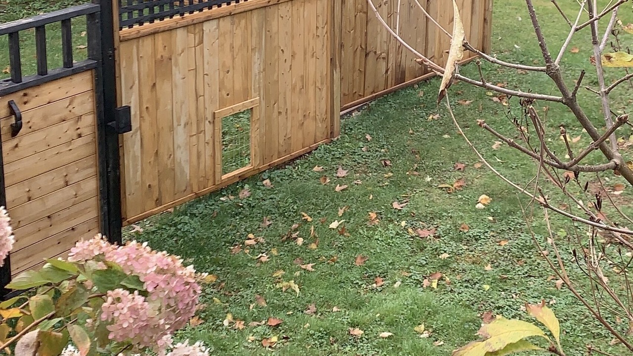 Photo of Outdoor in North River
