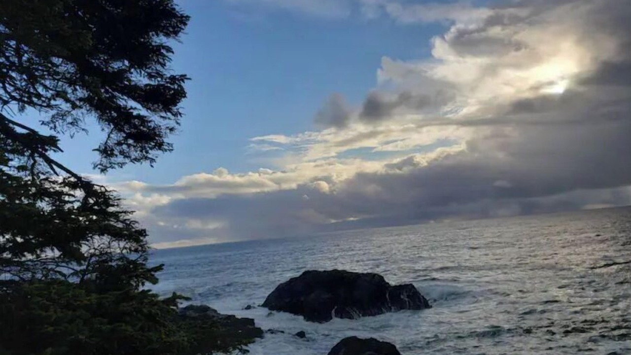 Photo of Others in Ucluelet