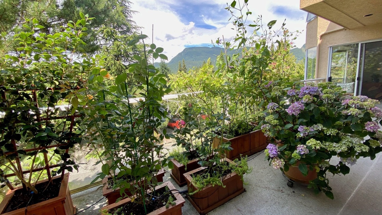Photo of Outdoor in Caulfeild