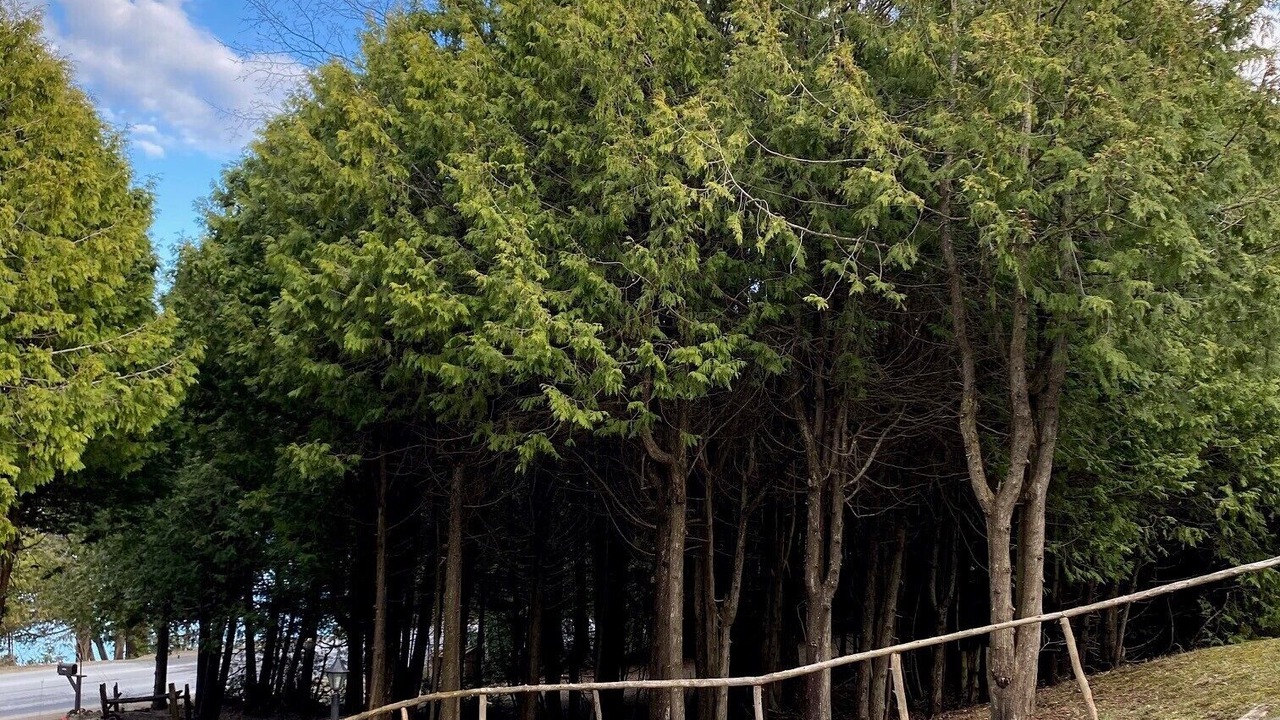 Photo of Outdoor in Markdale