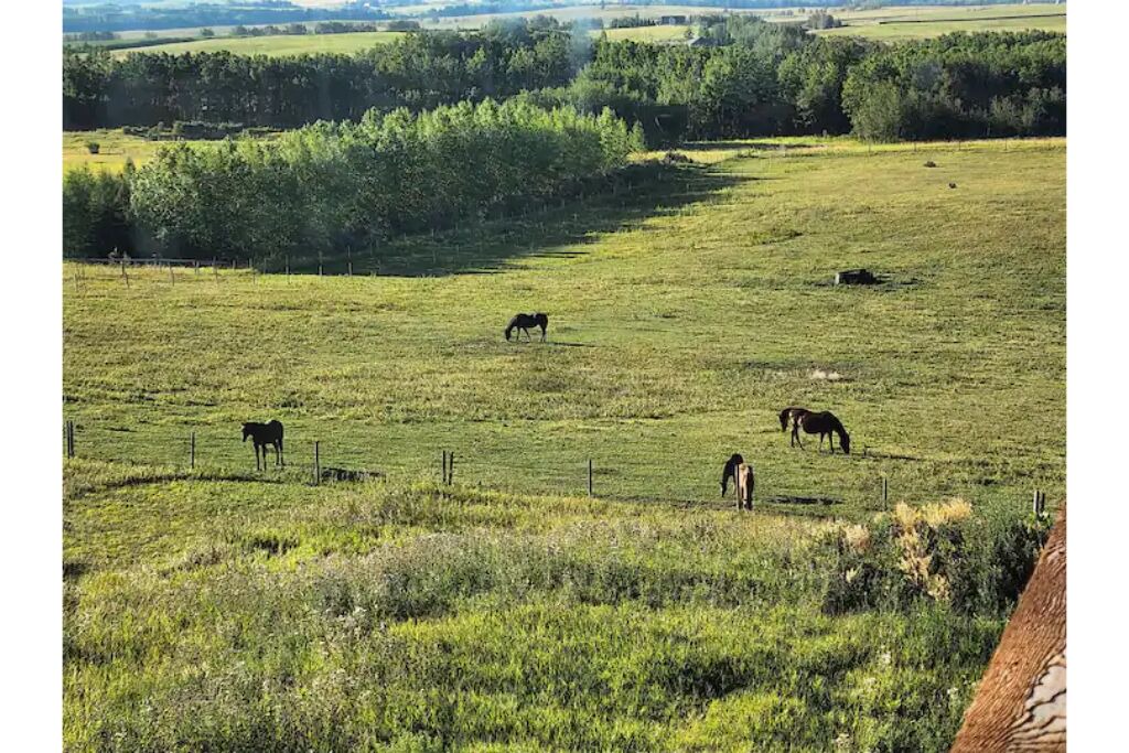 Photo of Outdoor in Cochrane