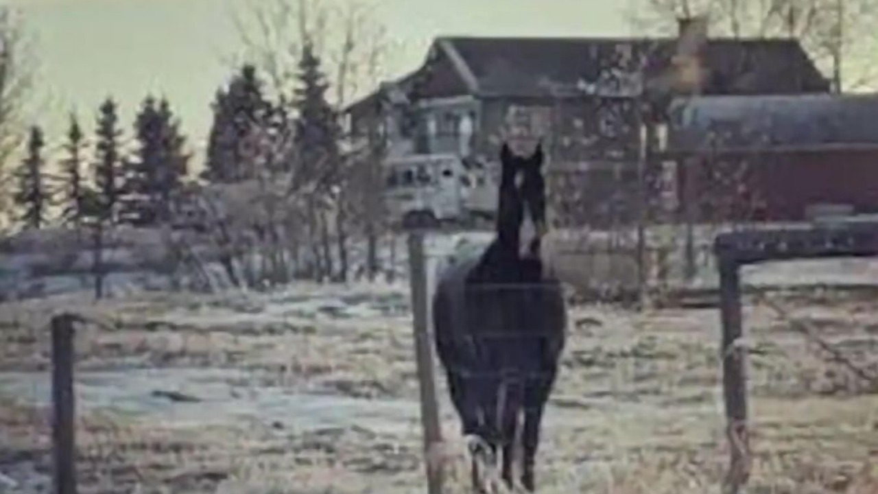 Photo of Others in Cochrane