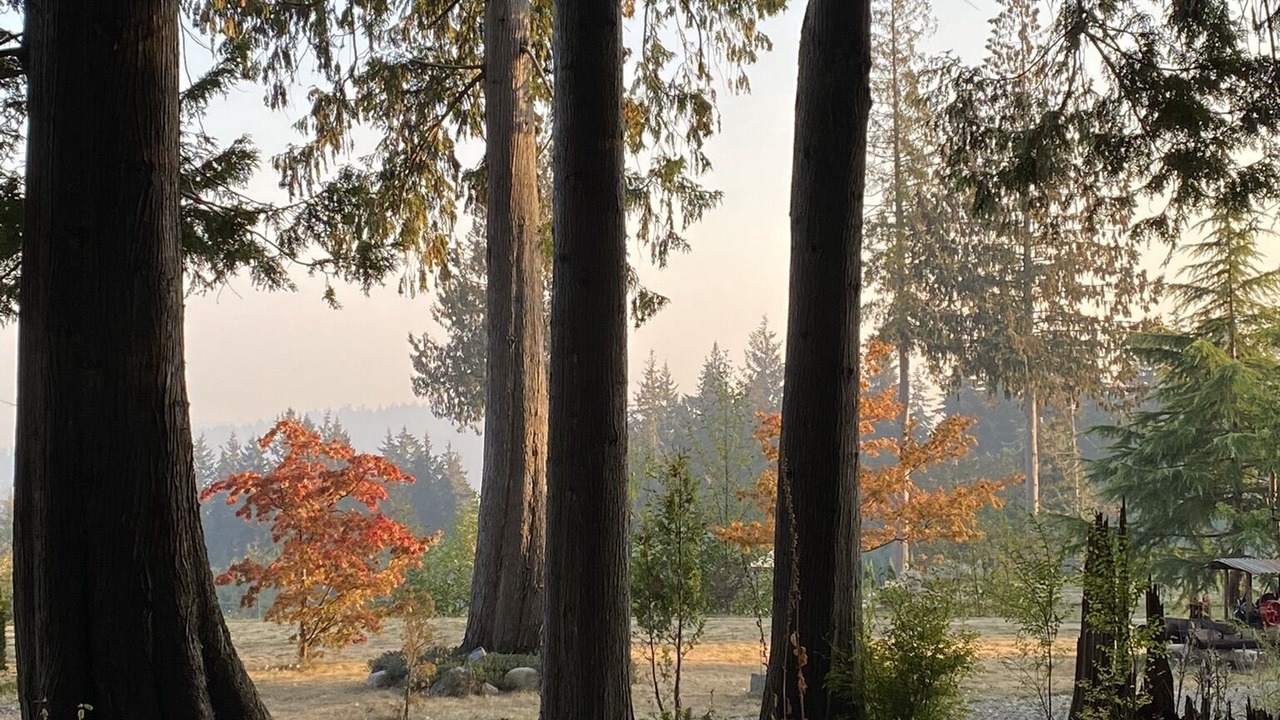 Photo of Outdoor in Granthams Landing