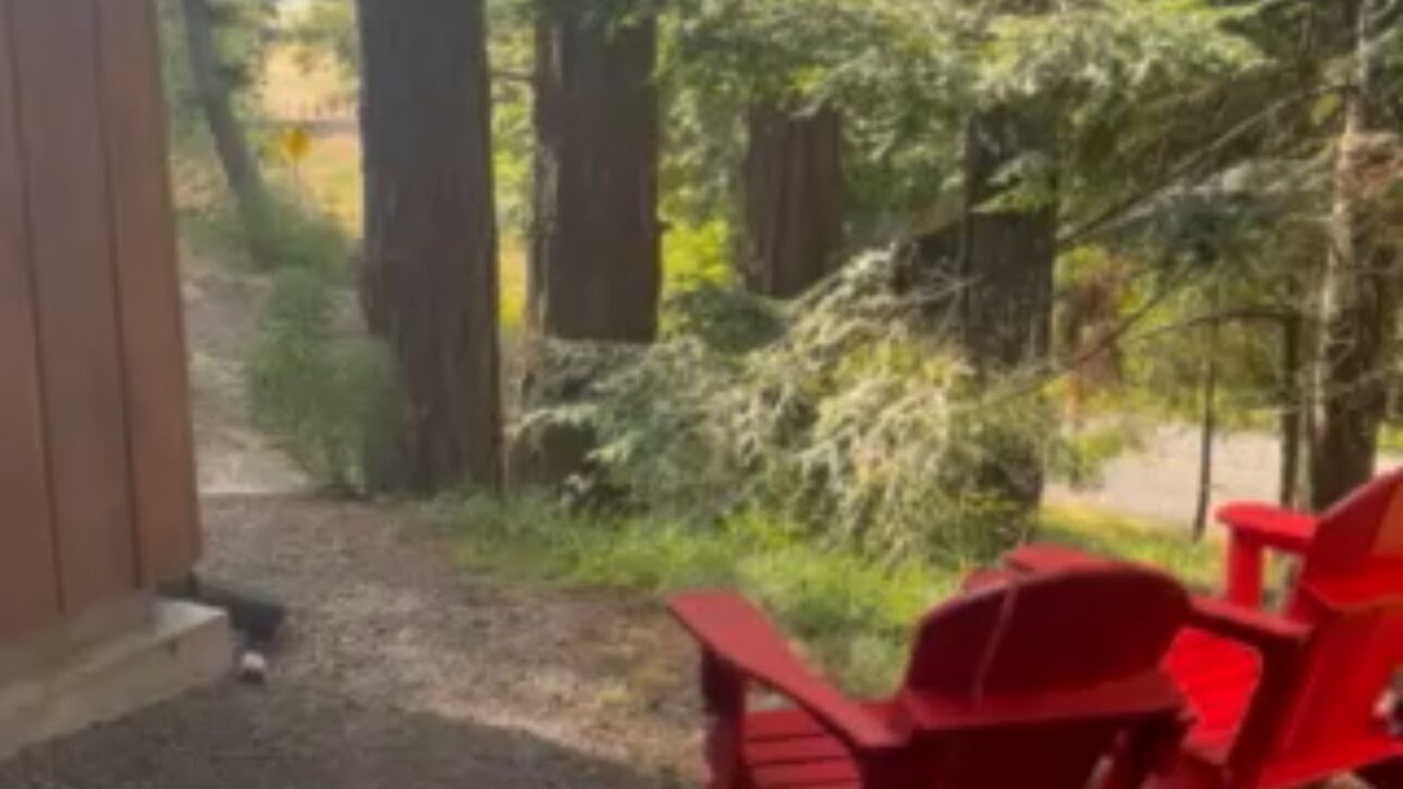 Photo of Outdoor in Hornby Island