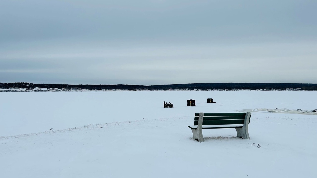 Photo of Others in Botwood
