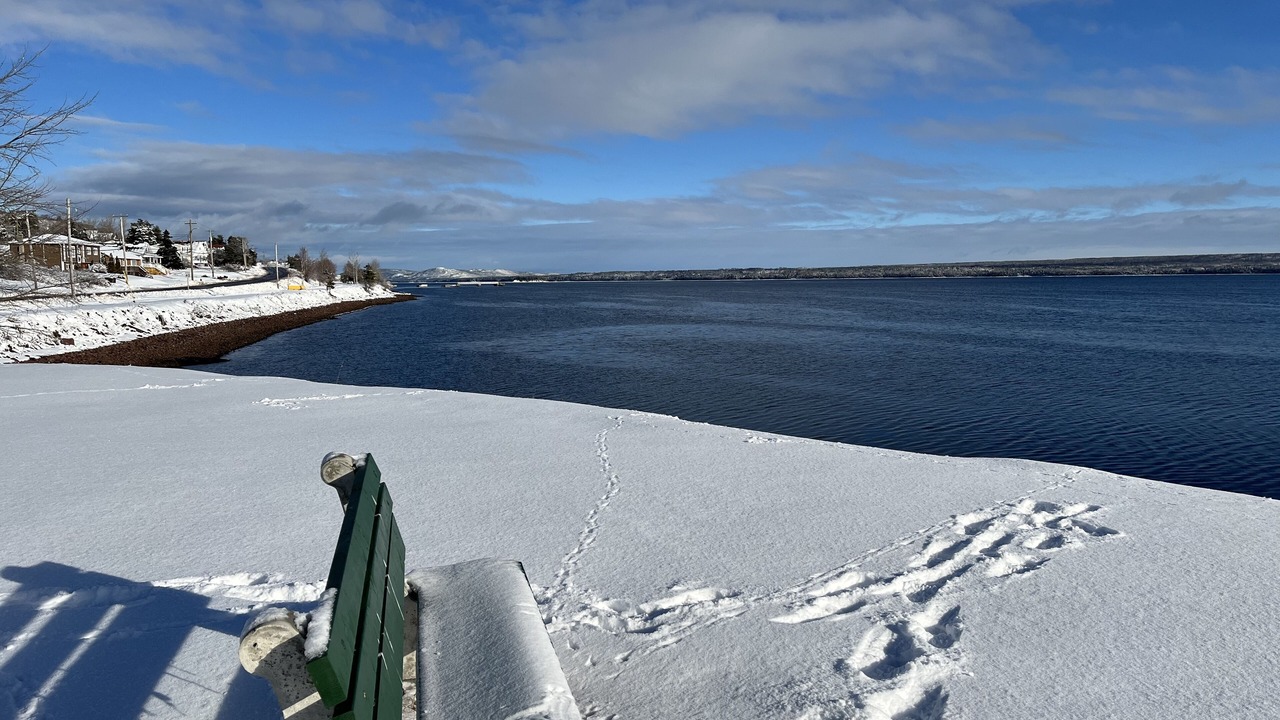 Photo of Others in Botwood