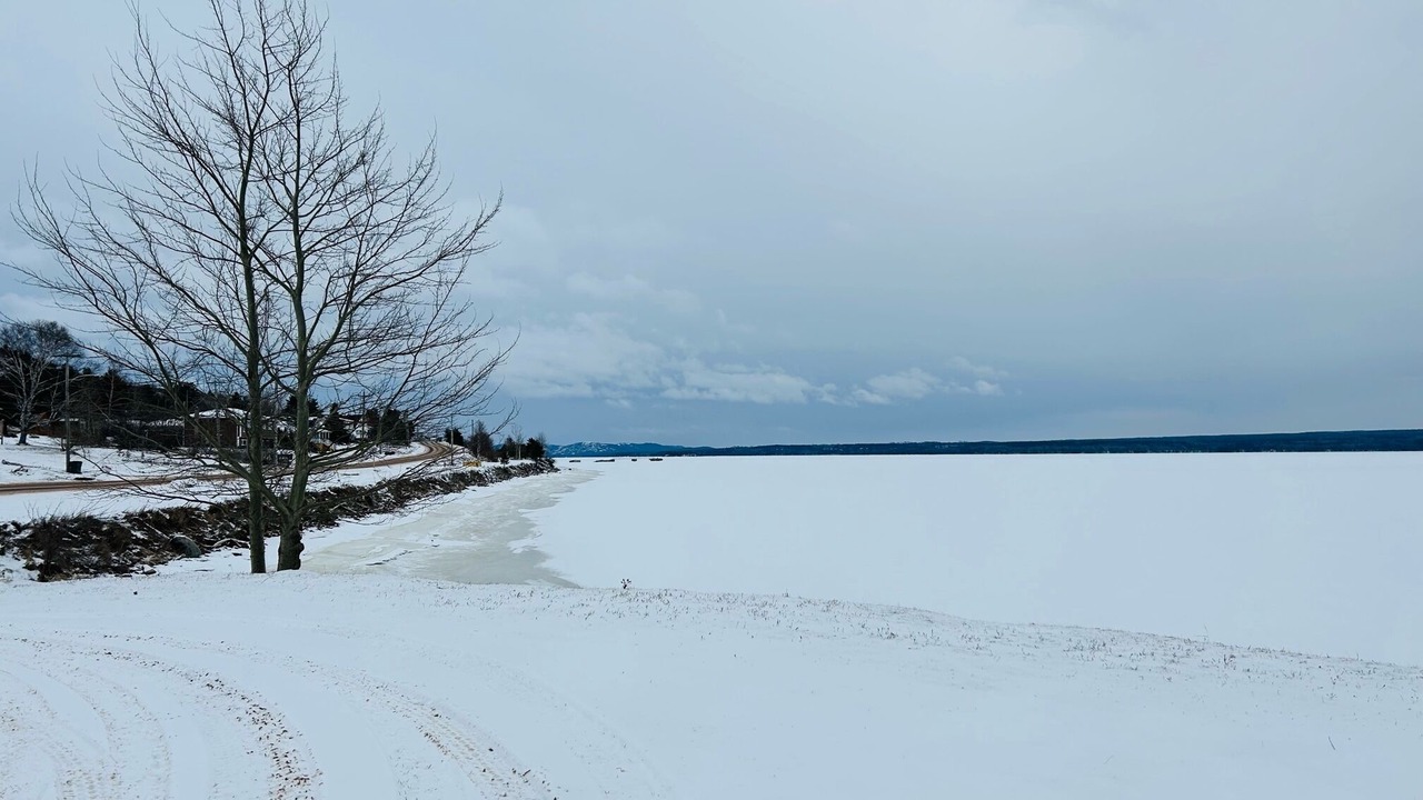 Photo of Outdoor in Botwood
