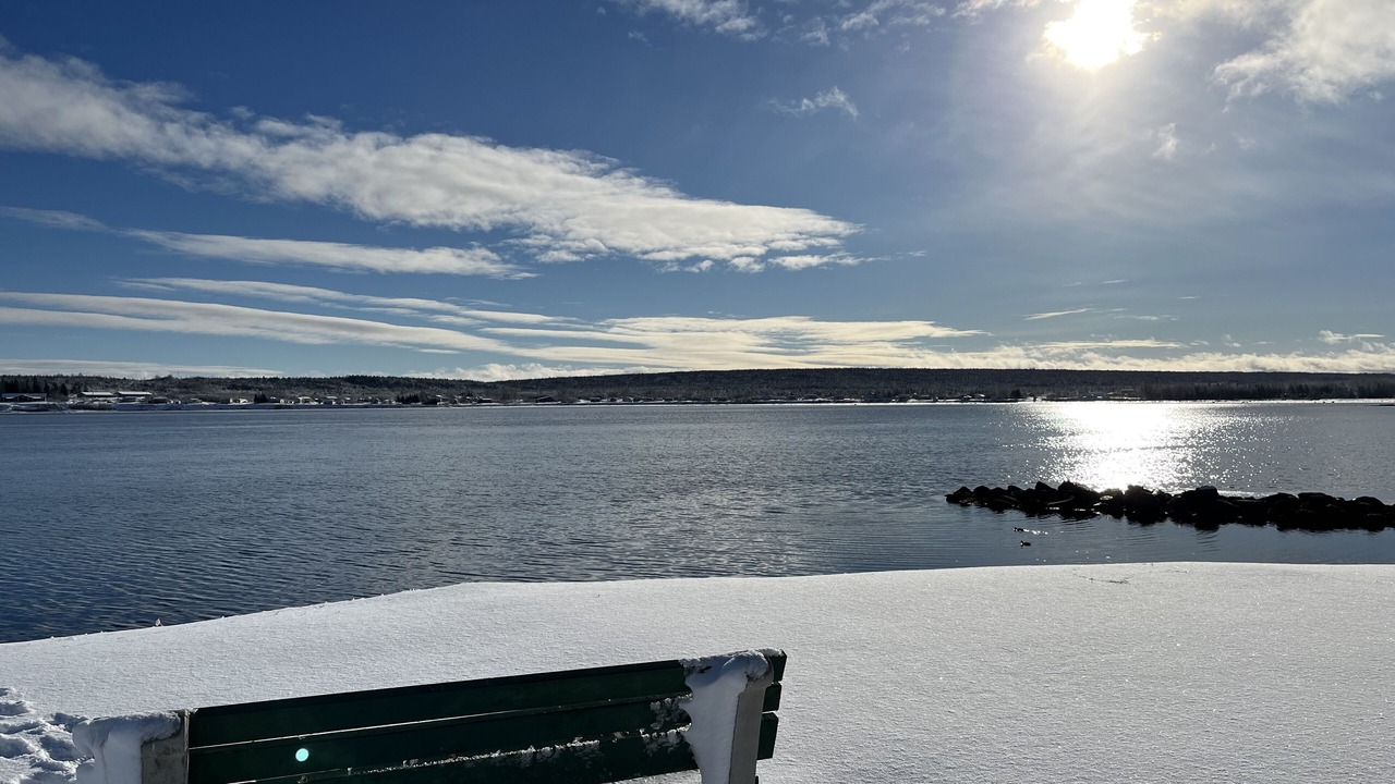 Photo of Others in Botwood