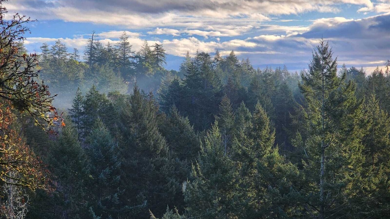 Photo of Outdoor in Metchosin