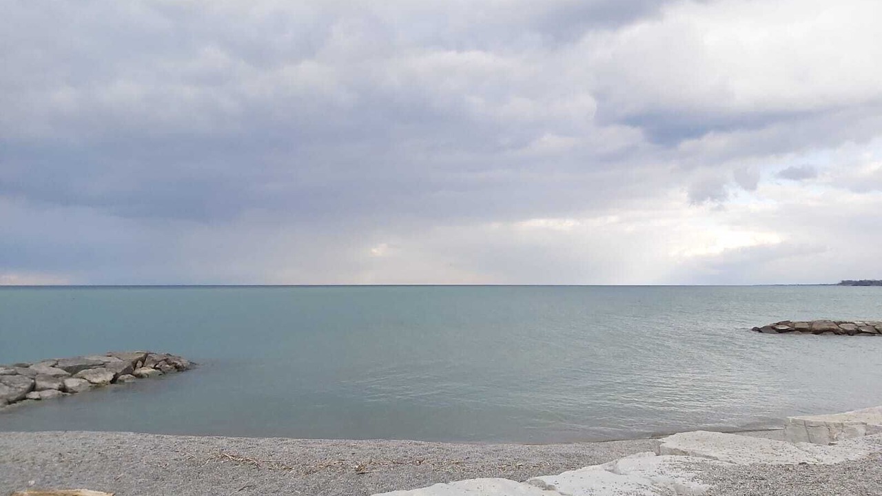 Photo of Others in Grimsby