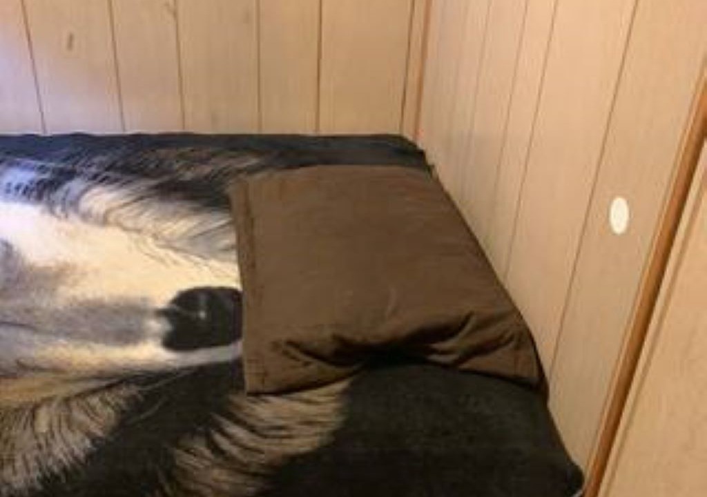 Photo of Bedroom in Edmonton