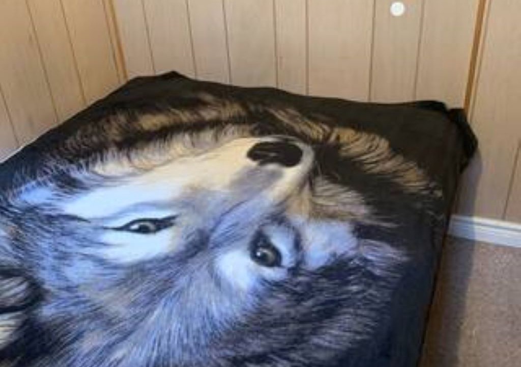 Photo of Bedroom in Edmonton