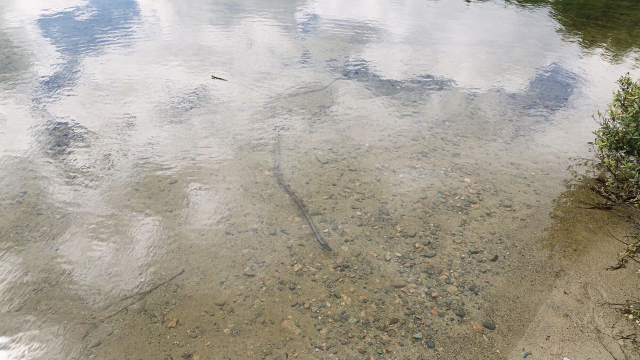 Photo of Others in Timiskaming District
