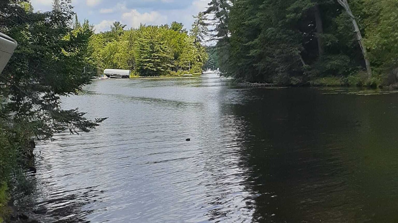 Photo of Others in Bobcaygeon