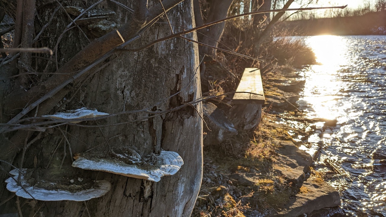 Photo of Outdoor in Saint-Liguori
