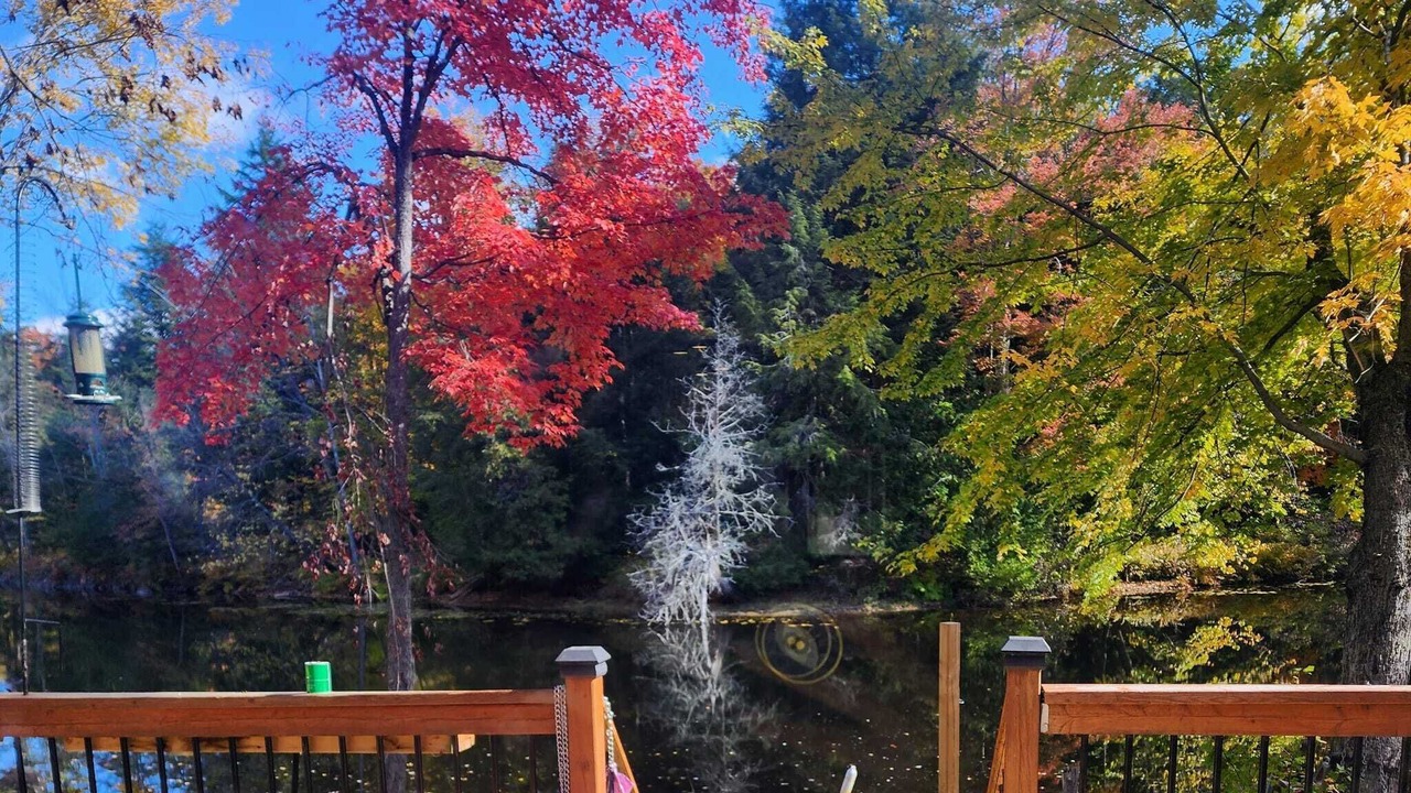 Photo of Outdoor in Havelock-Belmont-Methuen