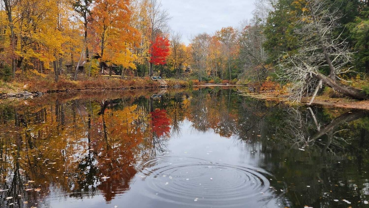 Photo of Others in Havelock-Belmont-Methuen