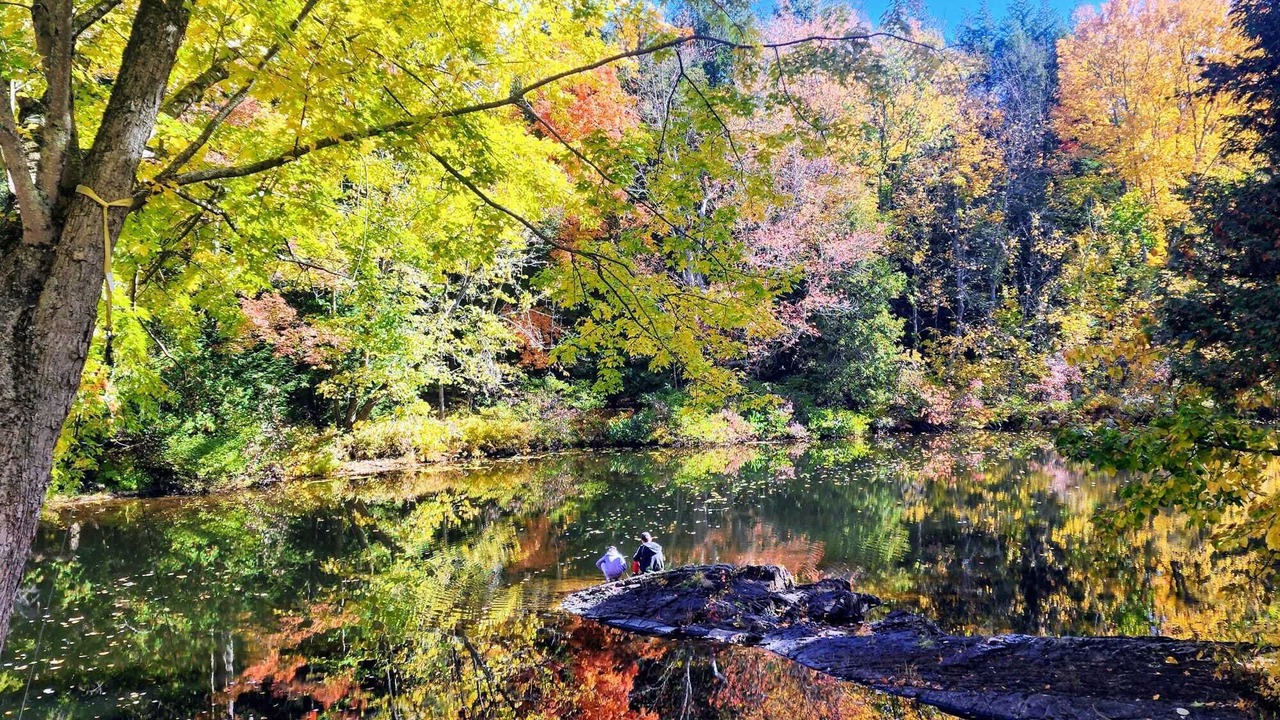 Photo of Outdoor in Havelock-Belmont-Methuen