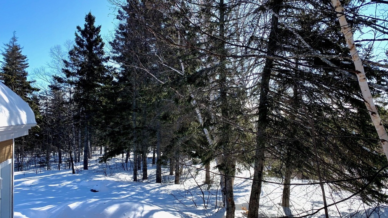 Photo of Others in Petite-Riviere-Saint-Francois