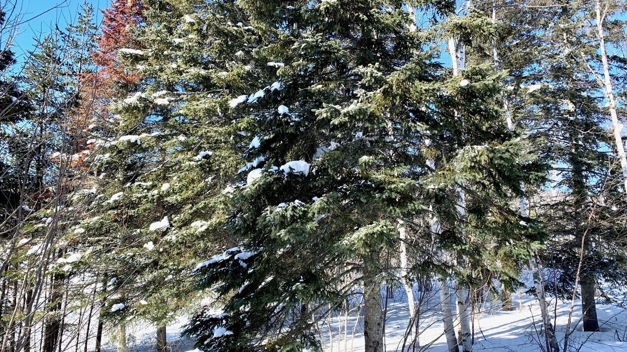 Photo of Outdoor in Petite-Riviere-Saint-Francois