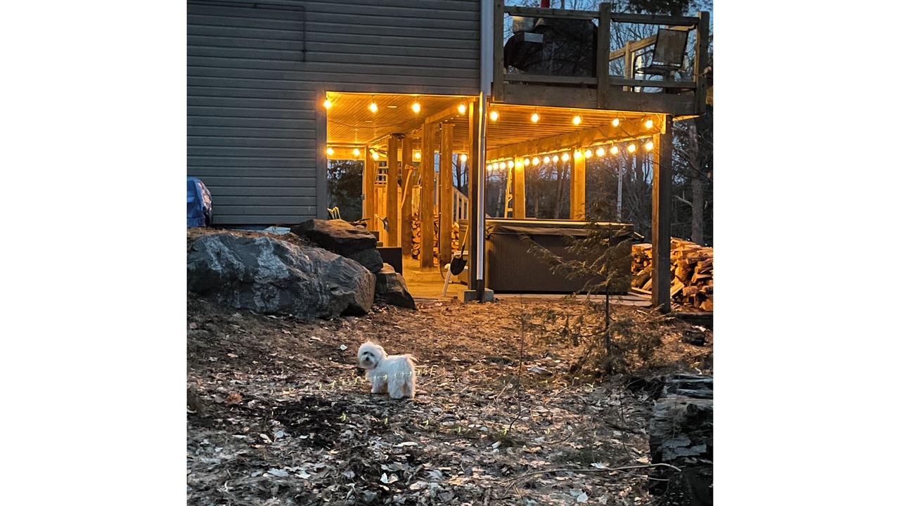 Photo of Outdoor in Seguin