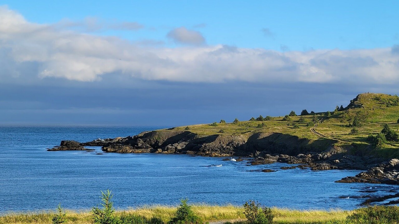 Photo of Others in Small Point-Adam's Cove