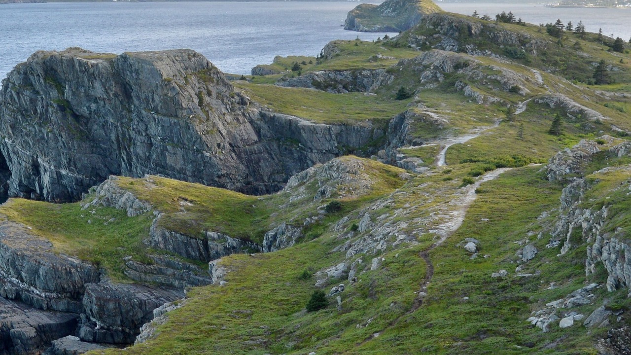 Photo of Others in Small Point-Adam's Cove