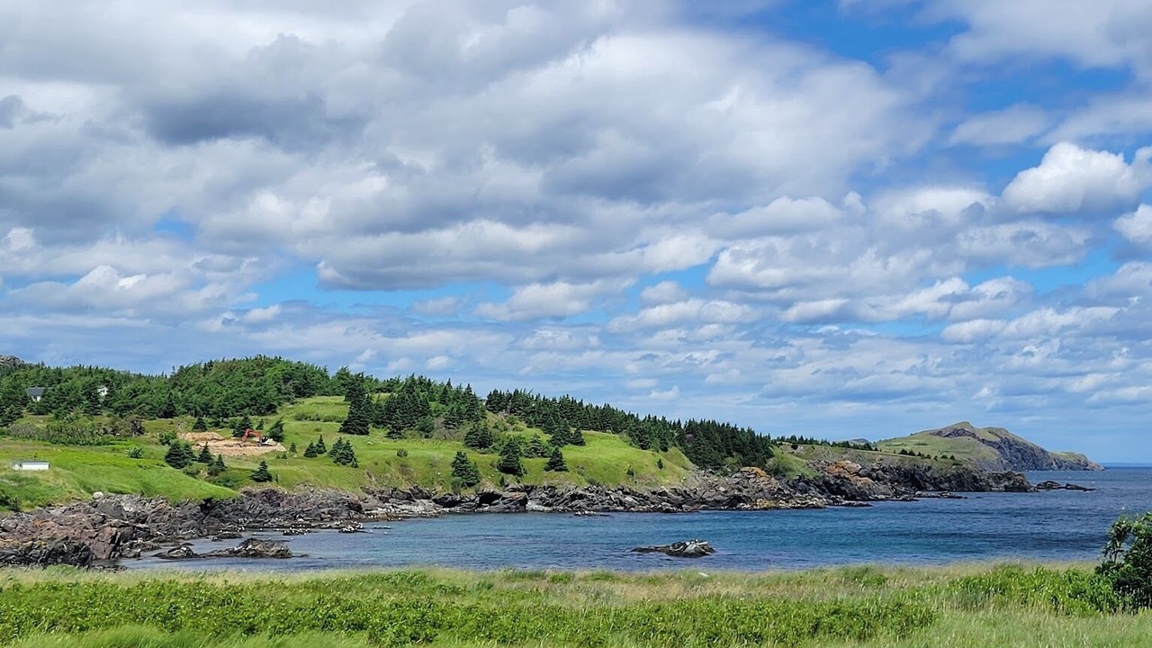 Photo of Others in Small Point-Adam's Cove