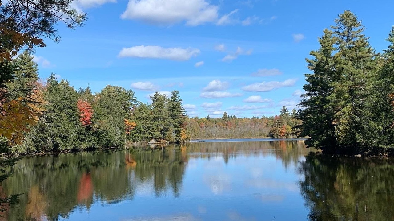 Photo of Others in Trent Lakes