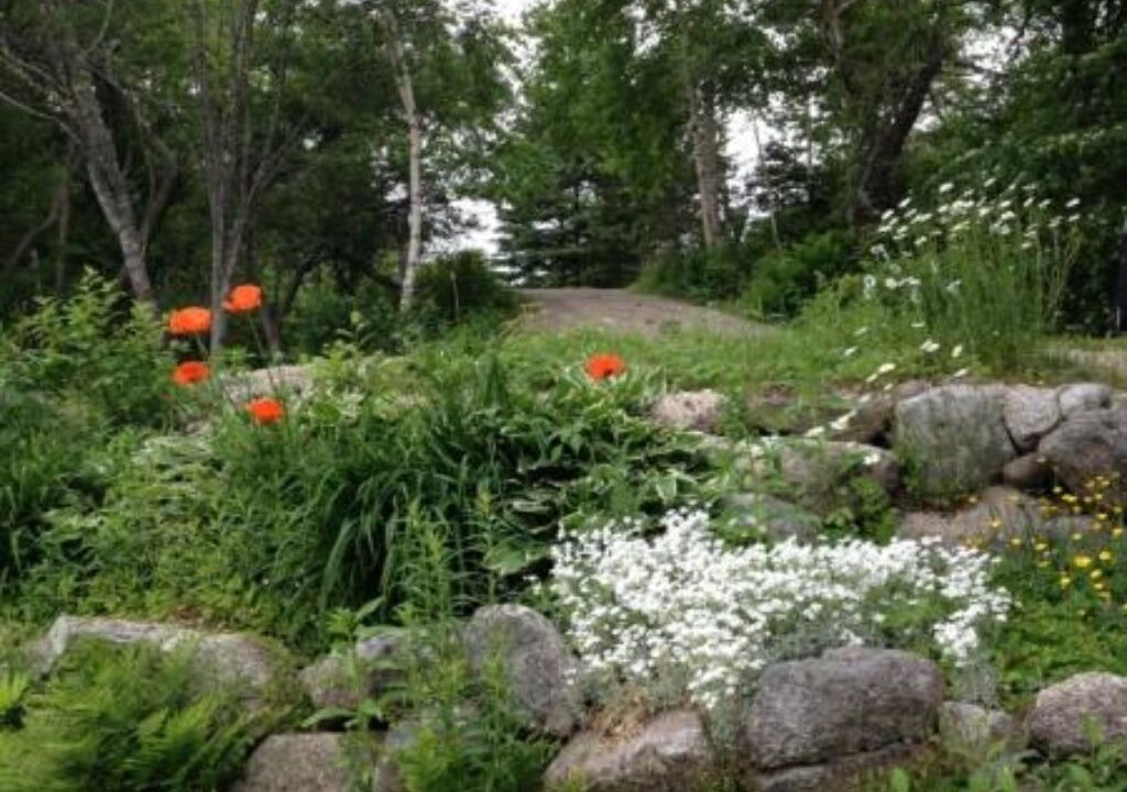 Photo of Outdoor in Chester