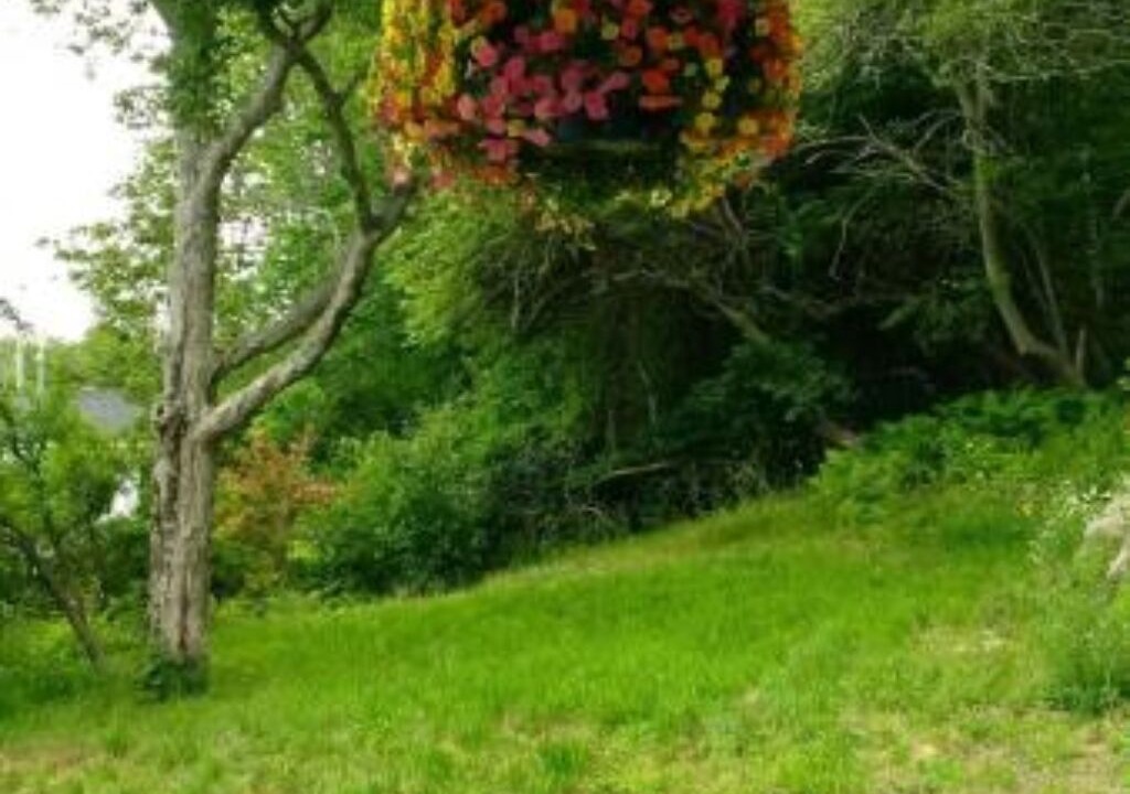 Photo of Outdoor in Chester