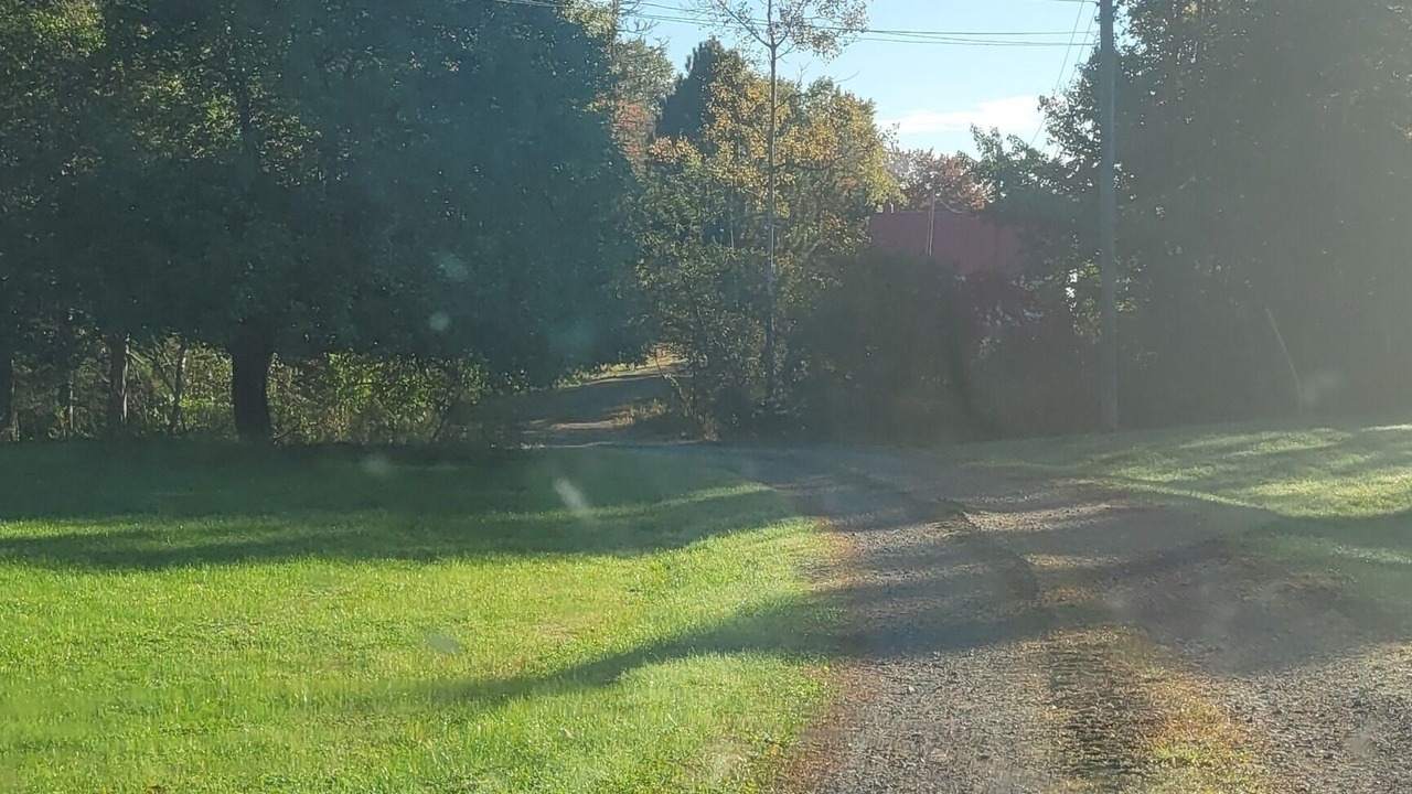 Photo of Outdoor in Canal