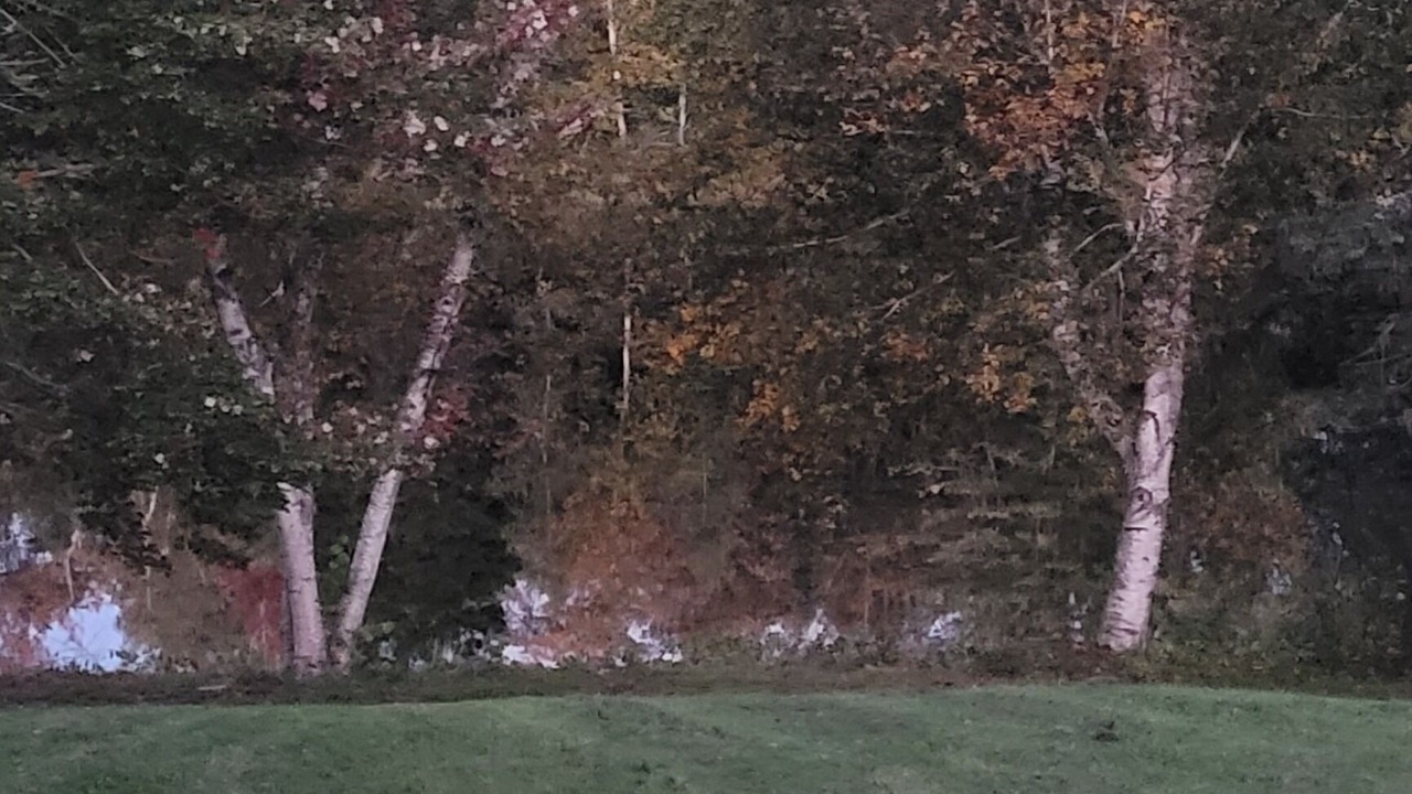 Photo of Outdoor in Canal