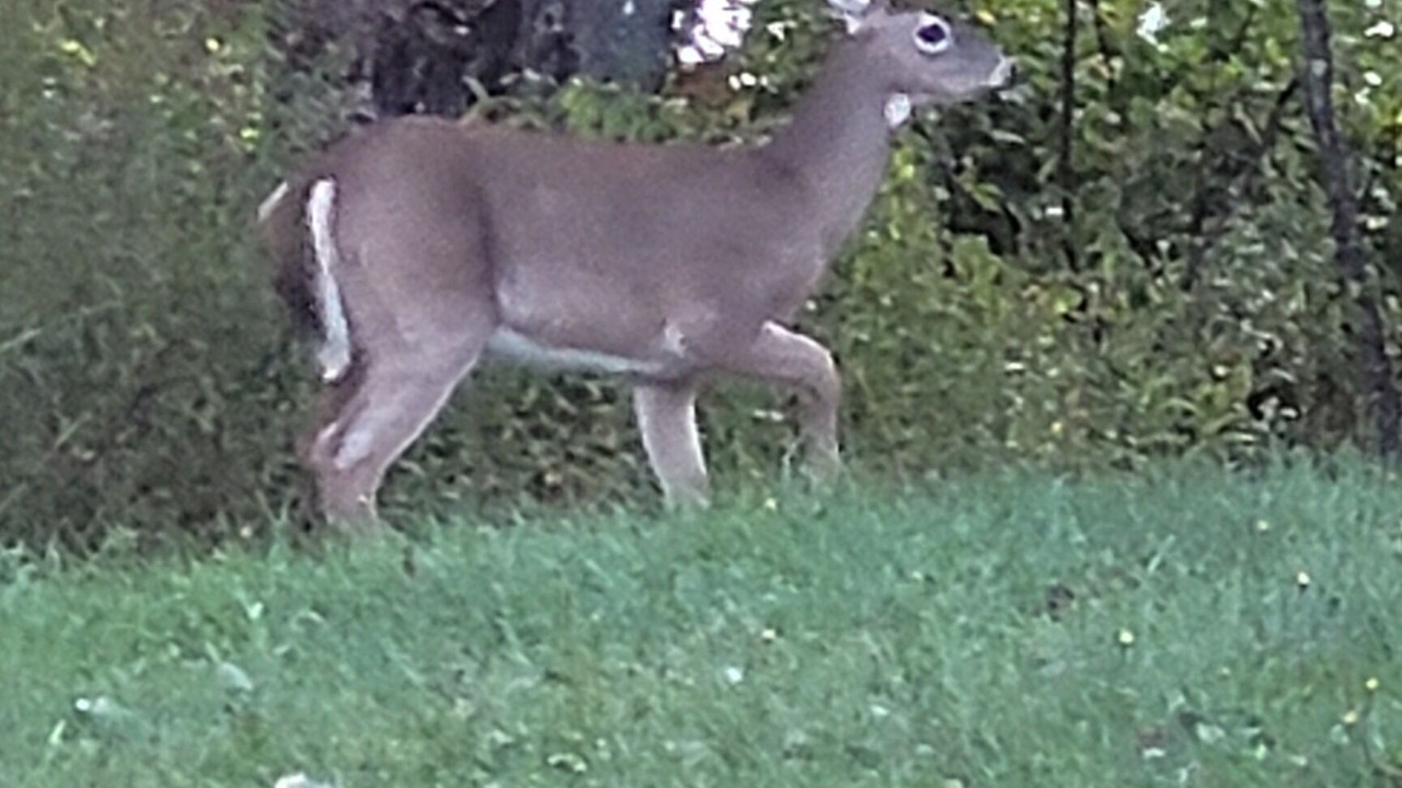 Photo of Outdoor in Canal