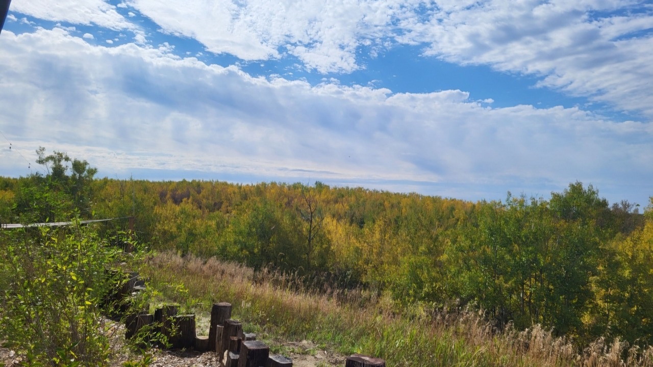 Photo of Others in Batoche