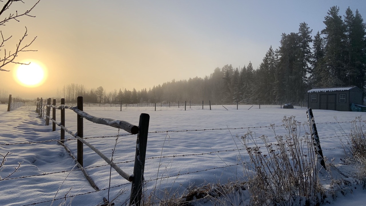 Photo of Others in Parkland County