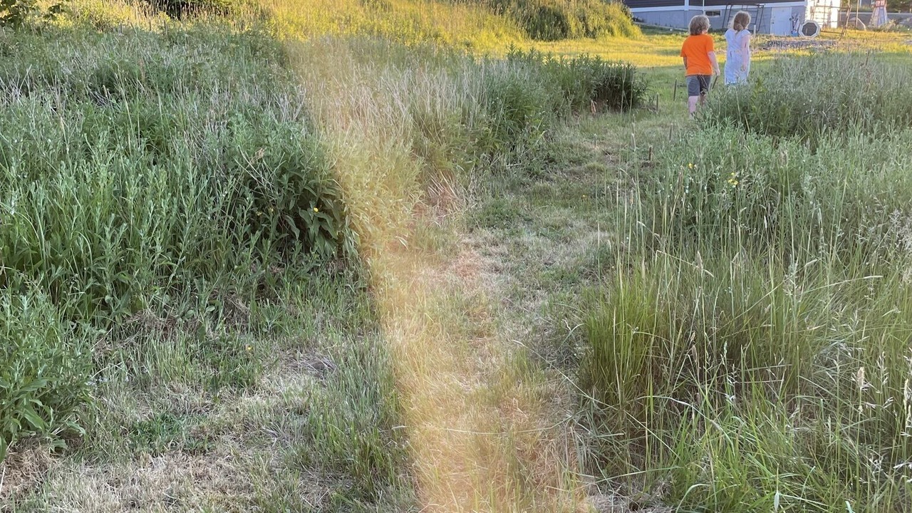 Photo of Others in Terra Nova
