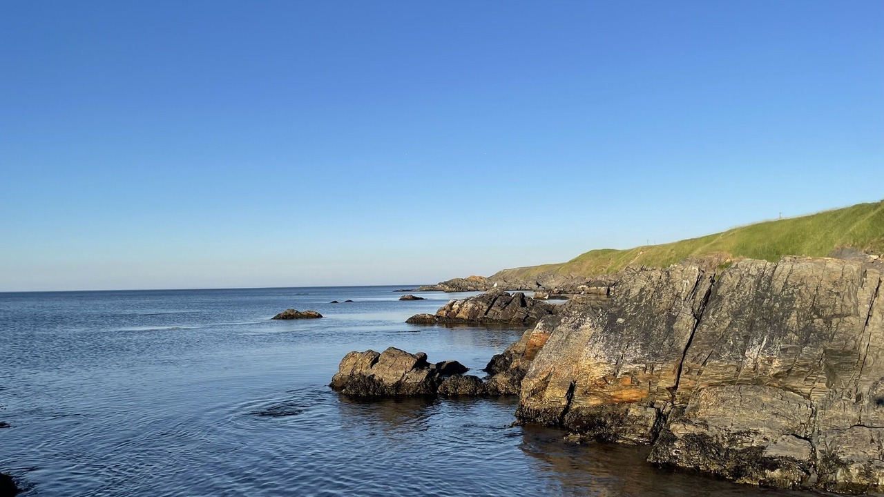 Photo of Others in Terra Nova