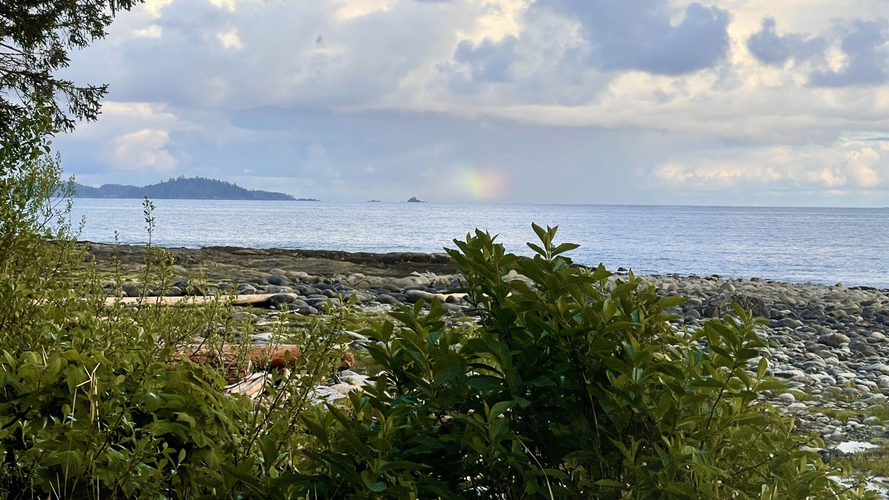 Photo of Outdoor in Ucluelet