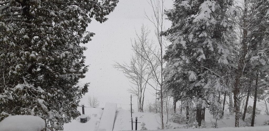 Photo of Outdoor in Adstock