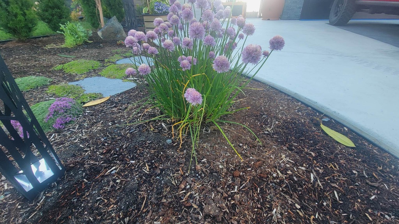 Photo of Outdoor in Sooke