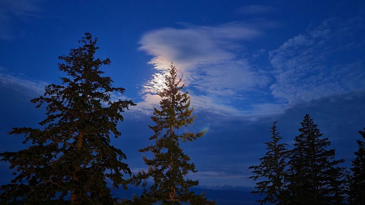 Photo of Outdoor in Sooke