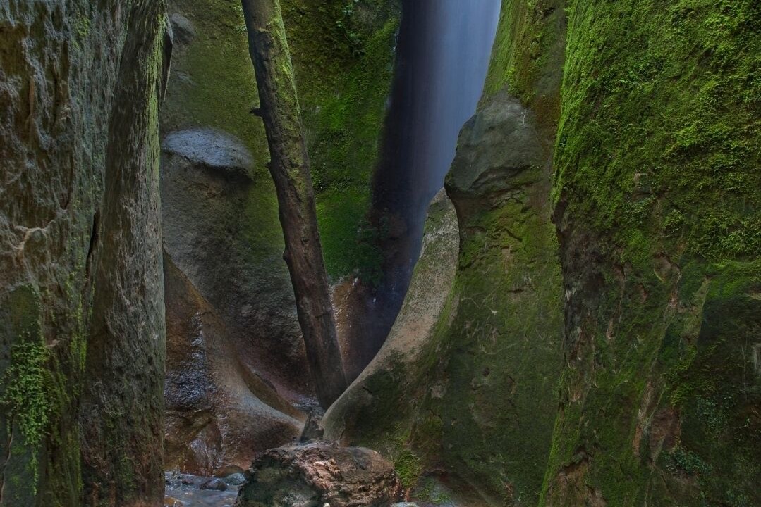 Photo of Outdoor in Sooke