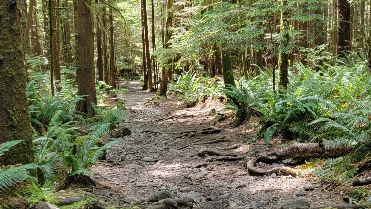 Photo of Outdoor in Sooke